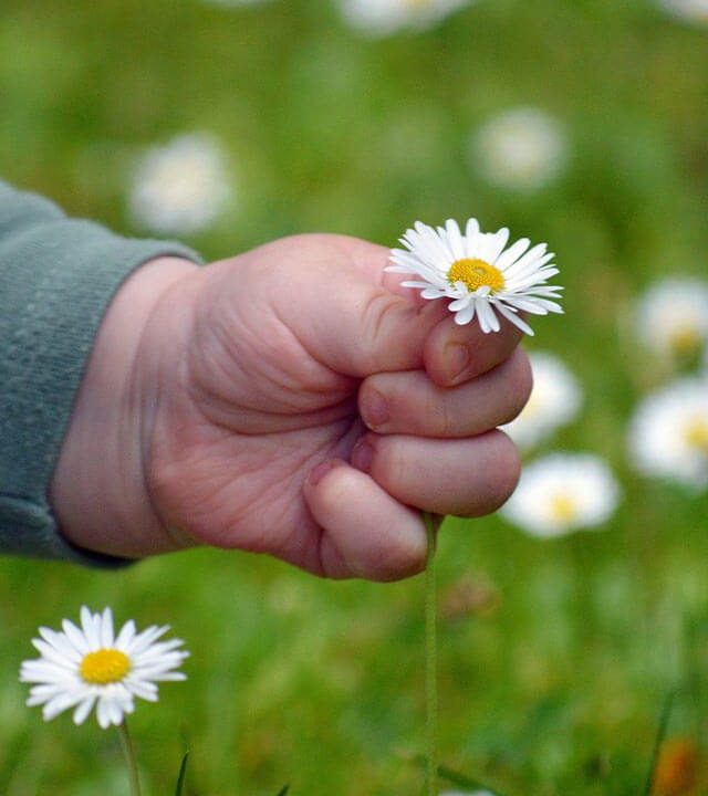 sem título 7 sem título 7